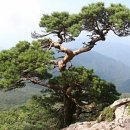 비산고가 아래 이미지