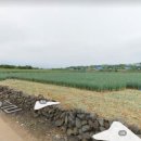 금성리 농로 1 이미지