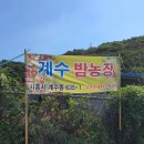 계수농장 이미지