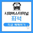 티머니포항버스