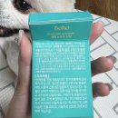 (주)인스렌터카 상주영업소 | 8월 2주차 일상ㅣ강아지 건강만 챙기는 일상ㅣ상주 포메 곰돌이컷, 편의점 하이패스 선불카드,상주 문경...