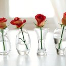 꽃과 바늘과 실타래 이미지