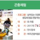 더 페어