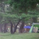 소야 솔밭 | 07년 8월 소야솔밭 부캠 후기... 1.