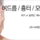 닥터포유의원 이미지