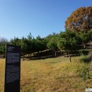 전 기황후 릉 터 이미지