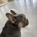 인생개획 이미지