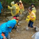 송광초등학교 병설유치원 이미지