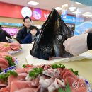 참치데이 이미지