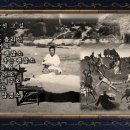 참된교회 이미지