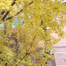 옥현로 46번길 이미지