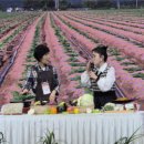 (주)한국중소벤처기업유통원 이미지