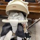 성샤인 | 씨투엠뉴 에이블 트라이크 코지샤인 휴대용 유모차 내돈내산 후기 | 라인업 비교부터 오키나와 실사용까지