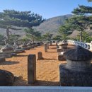 성주로 | 성주세종대왕자 태실.인촌지 여행후기