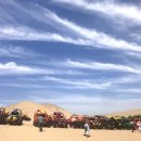 올리브 호스텔 이미지