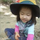 사계절 생태놀이 티스토리