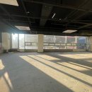 멍뭉유치원 이미지