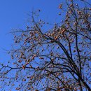 강천산군립공원 이미지