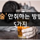 술 안취하는 노하우~^^ (건강 4/9) 이미지