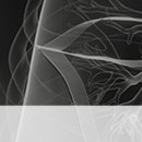 박앤김내과의원 이미지