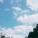 맑은하늘 이미지