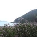 지리해수욕장 이미지