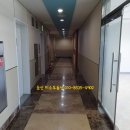 둔산중로-48 네이버블로그