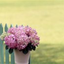 고운플라워 - 남구 산업로 88 | 고운플라워