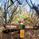 01-19 동구 Daum카페