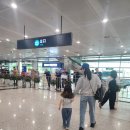 팍스할인마트 | [중국 / 다롄(대련)] 여행 준비 아이와 함께하는 가족여행 필수 앱, 결제, 교통 완벽 정리! 그리고 꿀팁...