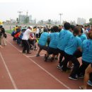 엑투 복싱 이미지