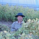 늘봄농장 이미지