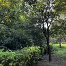 초안산캠핑장 이미지