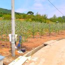 토지박사공인중개사사무소 이미지