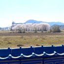 연포가든 이미지