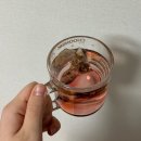 과일 블렌딩 티 추천 👍 ㅣ 프린세스워터 사랑에 빠진 딸기 공주 ㅣ 햅시바에프엔비