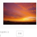 수&연컬렉션 이미지