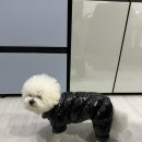 페토브 동물병원 이미지