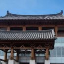 타니스테이 이미지