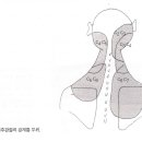 경추의 임상적 실체(Cervical Clinical Entitles) 이미지