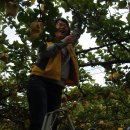 성제농장 이미지