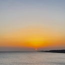 서연농장 이미지