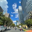 세정식당 이미지