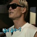 퓨전육사시미
