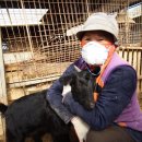 오지다라이프 이미지