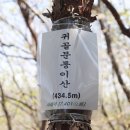 장암1리경로당 Daum카페