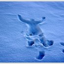 장안공원 이미지