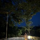 그날저지 | 제주도 자쿠지 숙소 ) 제주 서쪽 한경면 독채 감성숙소 그날저지 /내돈내산