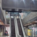 생한의원 | 마곡 한의원 어깨 통증 치료 후기 수술 후 남은 통증 때문에 도침치료 받아봤어요