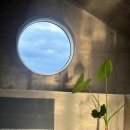 저지안트레 이미지